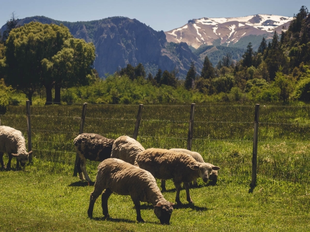 argentina_ruta_40_sec-25