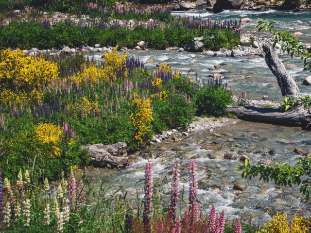 argentina_ruta_40_sec-31