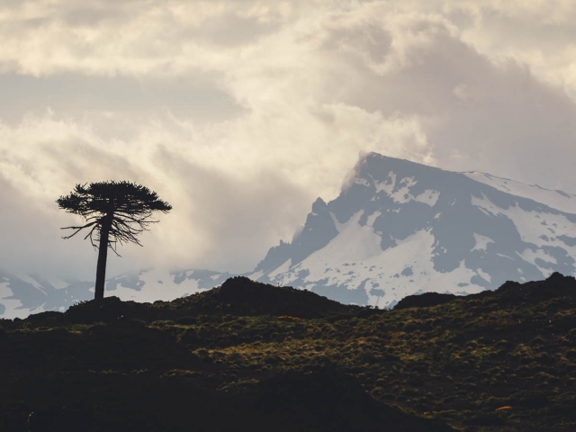 argentina_ruta_40_sec-7