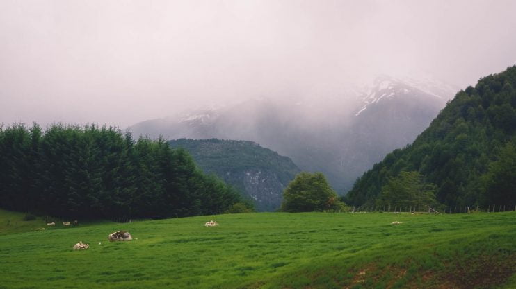 back_to_carretera_austral-5