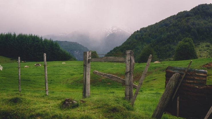 back_to_carretera_austral-6