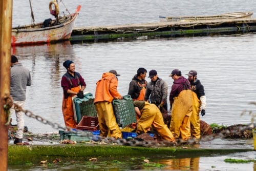 chiloé-the-enchanted-island-61